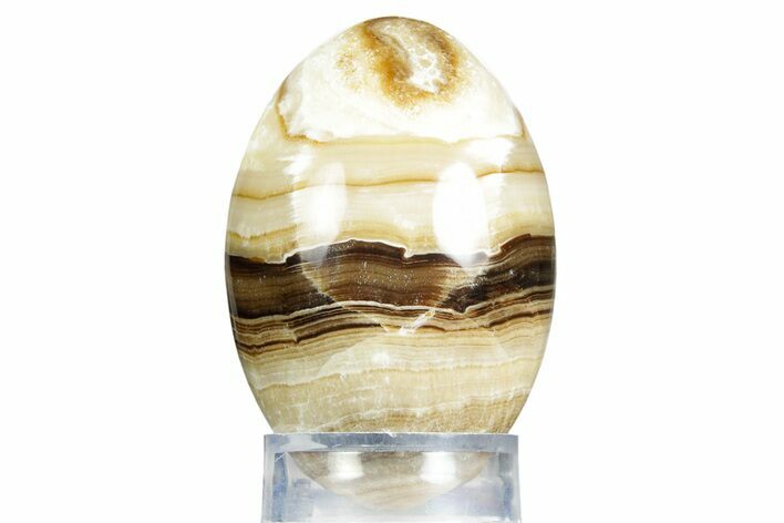 Swirling Polished Chocolate Calcite Egg - Pakistan #350184
